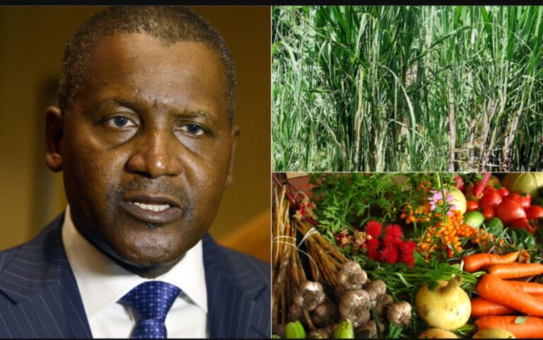 Kanfanin Dangote Ya Hada Gwiwa Da Abokan Huddarsa Don Bunkasa Noma IMG 20251124 WA0264