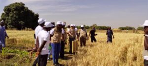 IMG-20260306-WA0256 IMG 20260306 WA0256